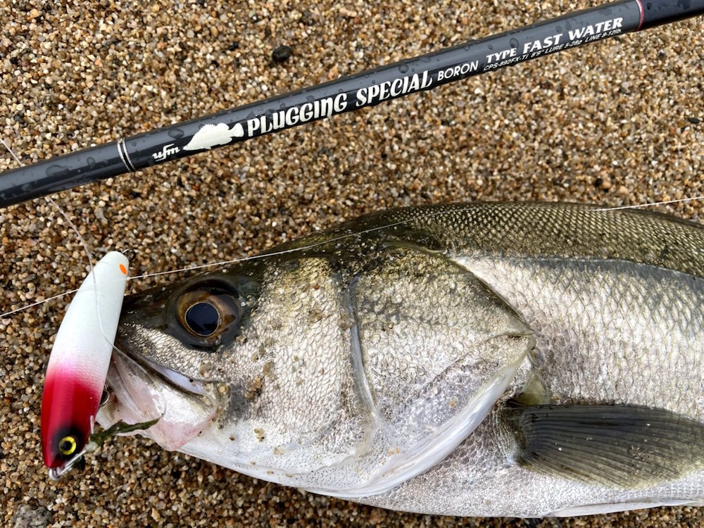 21 8 17 淡路島 失態釣り師壱号さん 土砂降り労してチャンス逃さず連続ヒット Sumlures